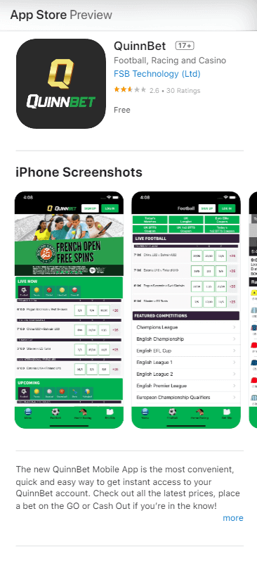 QuinnBet Casino App preview 1