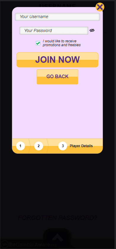 Crazy King Casino Registration Process Image 3