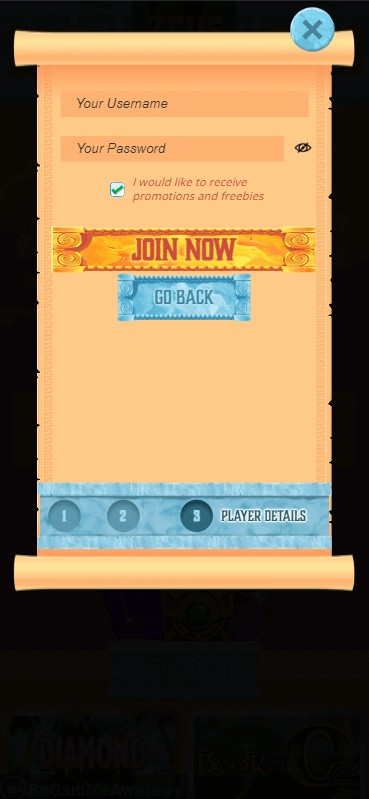 Zeus Bingo Registration Process Image 3