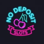 NDSlots Casino logo