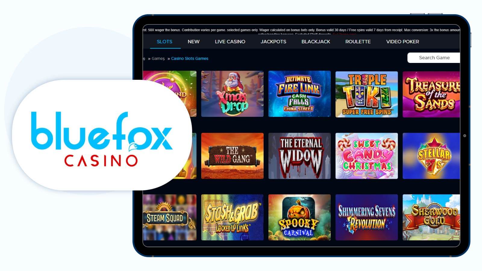 BlueFox-Casino-Best-Online-Casino-With-EcoPayz-to-Explore-the-Book-of-Dead
