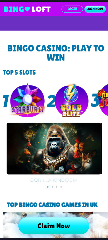 bingo-loft-casino-game-types-mobile-review