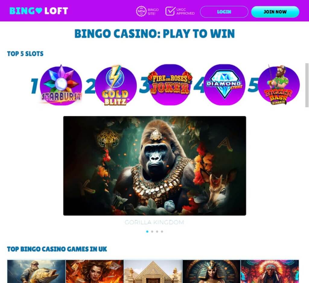 bingo-loft-casino-game-types-review