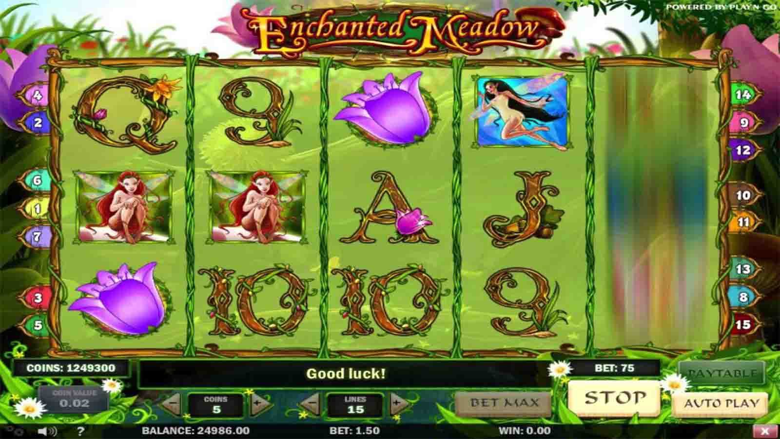 Enchanted Meadow Slot