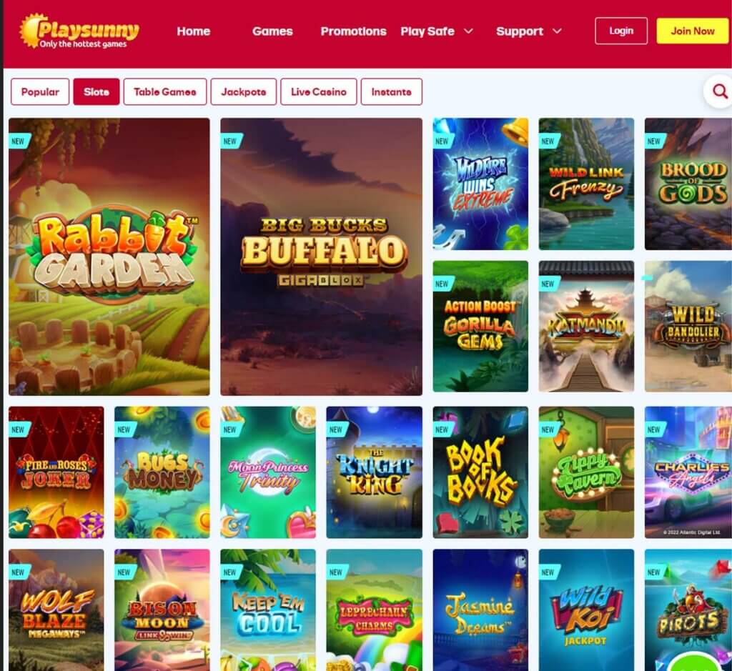 Playsunny Casino Desktop preview 1