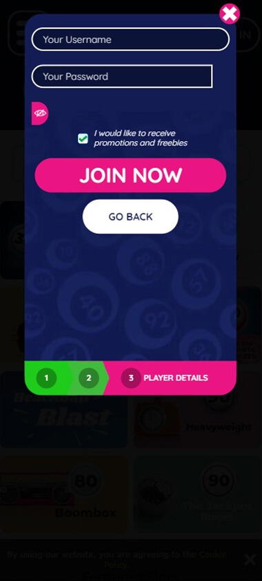 Bingo Games Registration Process Image 3