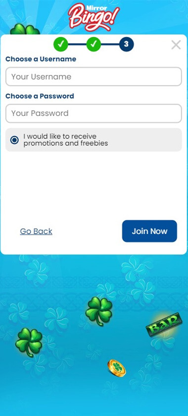 PayPal Bingo Sites Registration Process Image 3