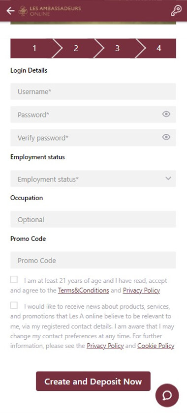 Les Ambassadeurs Online Registration Process Image 4